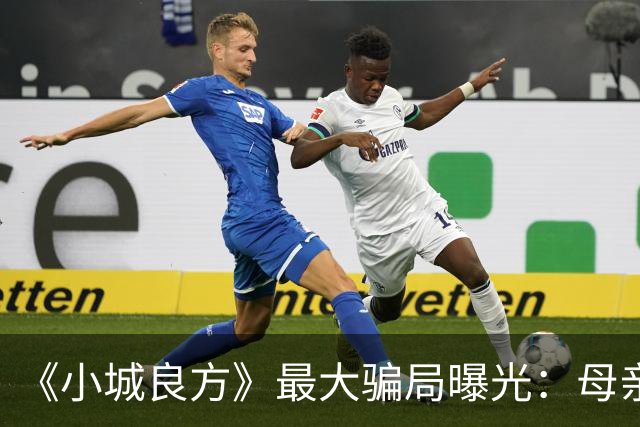 《小城良方》最大骗局曝光：母亲根本不是殉情，全是为肖战演的他