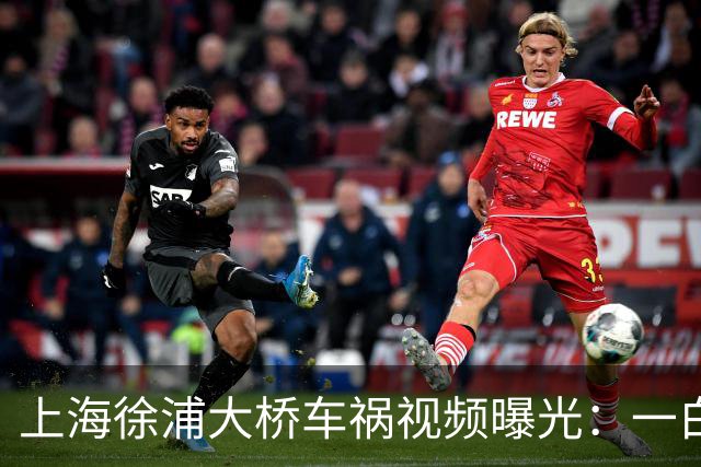 上海徐浦大桥车祸视频曝光：一白车外道超车变道，大货车躲避不及冲向对向，事故造成一死两伤