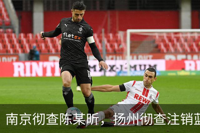 南京彻查陈某昕，扬州彻查注销蓝V！双线出击，汤家凤继续爆料