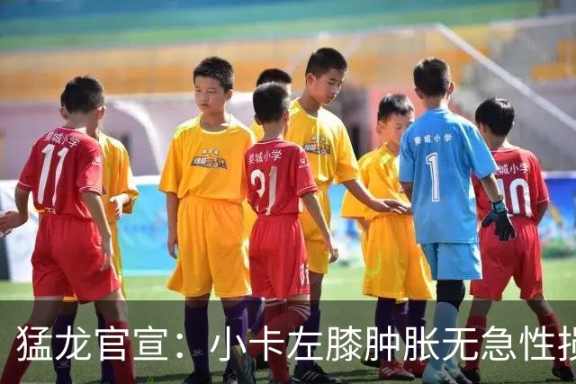 猛龙官宣：小卡左膝肿胀无急性损伤 一周后评估预计缺席数周