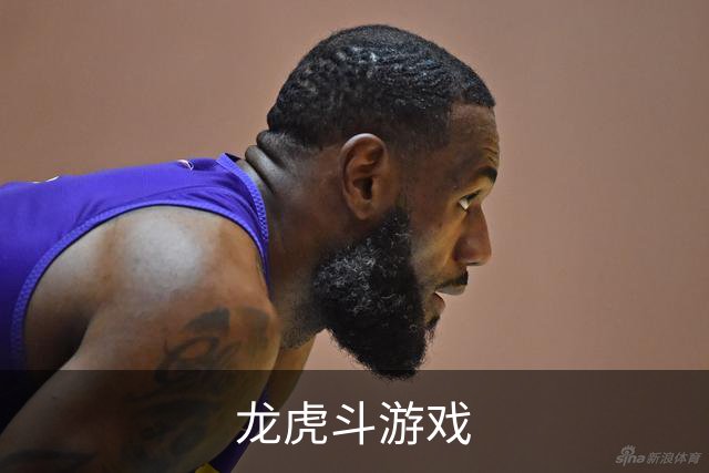 龙虎斗游戏公司介绍