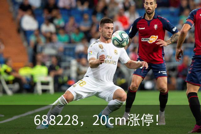 688228，20cm涨停！